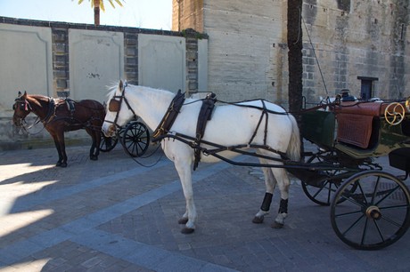 Santiago de la Ribera